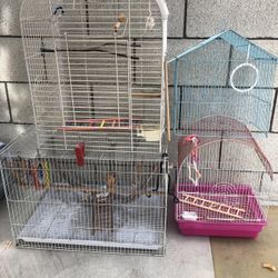 Bird Cages 