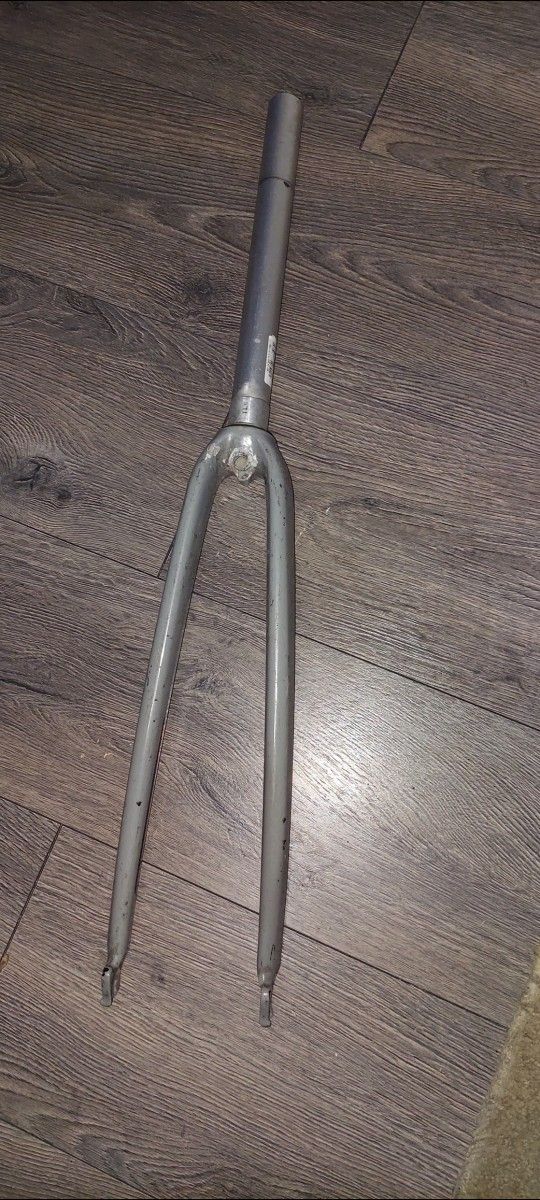 Carbon Fork