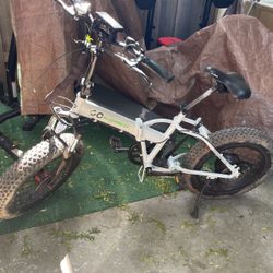 Go Express E-bike