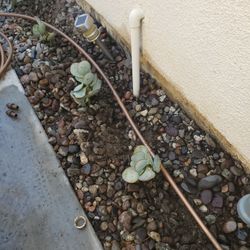 Irrigation Valves