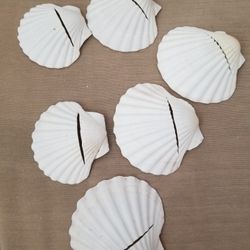 10 Natural Starfish and 10 White Scallop Shells Wedding Sign Holder/Table Card Holder