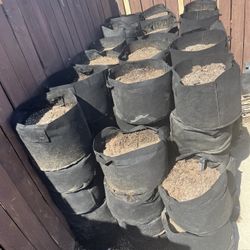 Soil