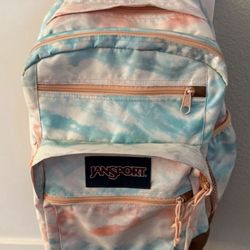 Jansport backpack new condition (Ann & Jones)