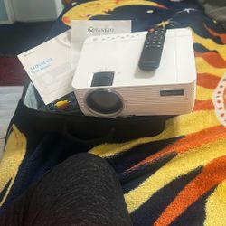 Projector