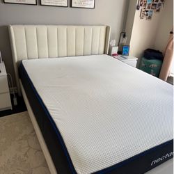 Cream colored Queen sized Bed Frame from Wayfair