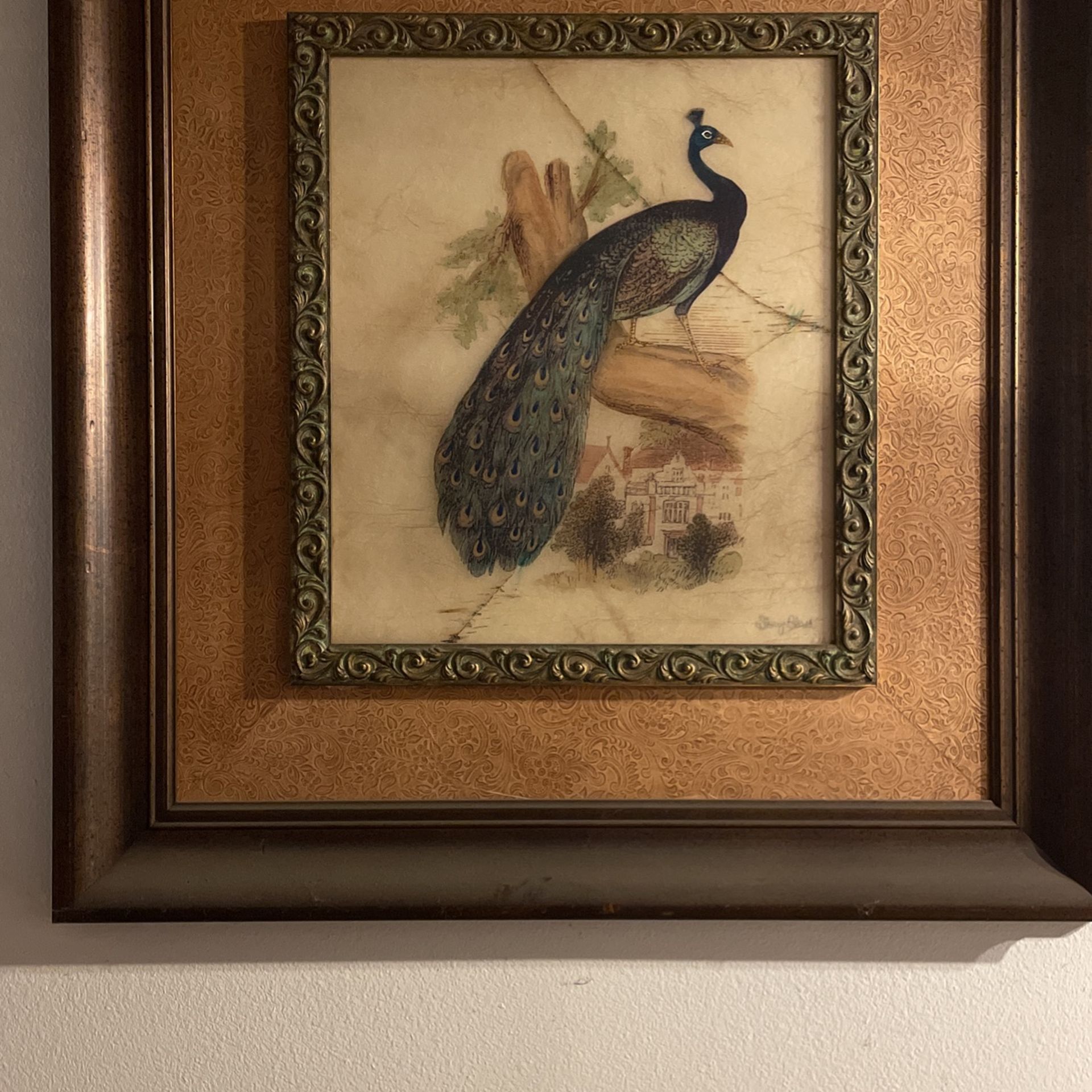Art Work Collection