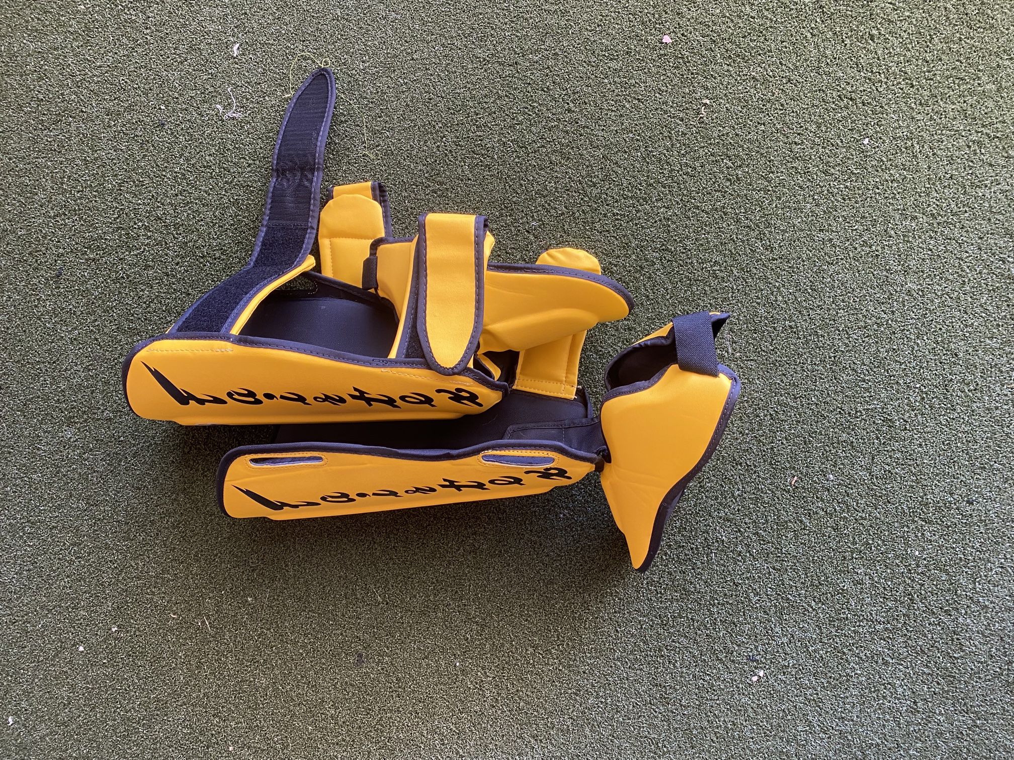 muay thai sparring (womens)