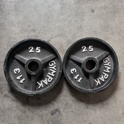 2 PCS 25 POUND WEIGHT PLATE 