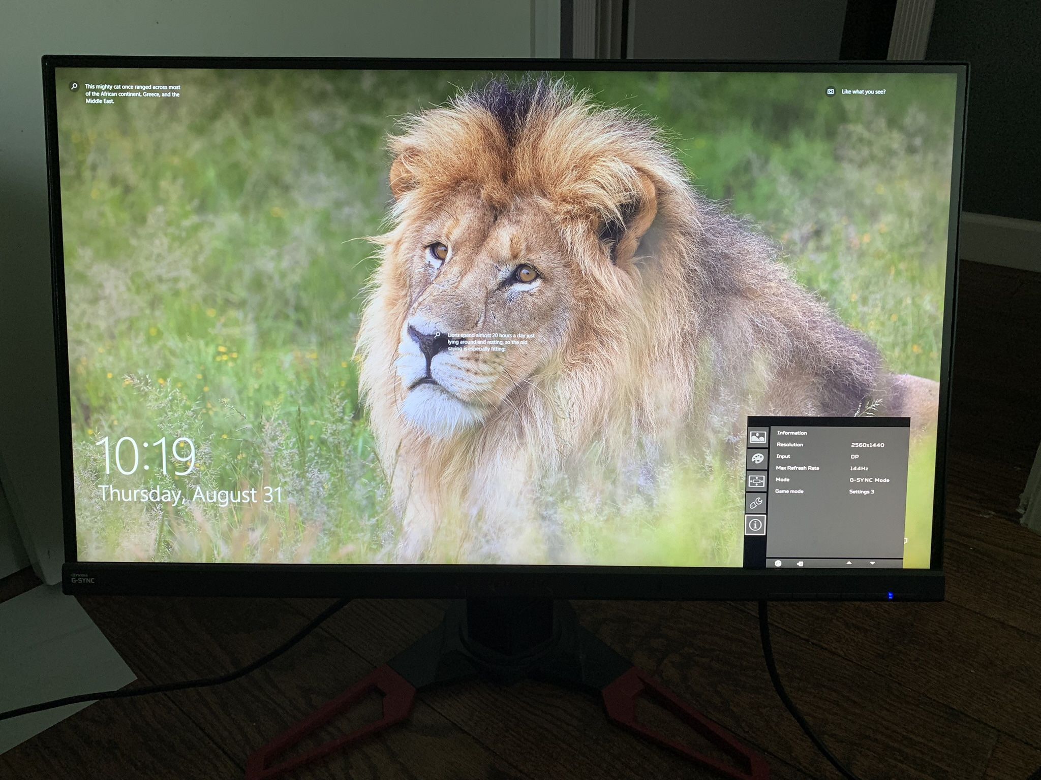 Acer Predator Gaming Monitor 27”