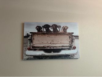 Pictures