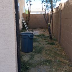 Clean Ups