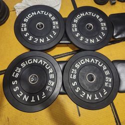 25lb Bumper Plates for Weight Lifting 