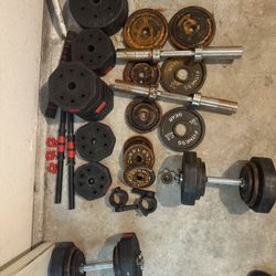Gym Weights