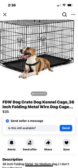 Large Dog Kennel