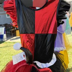Harley Quinn Costume