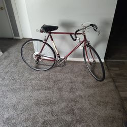Parliament Racing Bike (Early 70's)