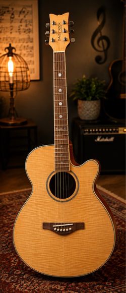 Daisy Rock Wildwood Artist Acoustic/Electric guitar
