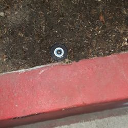 Sprinklers And Valves 