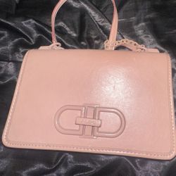 Aldo Purse