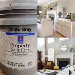 New 5 gallon interior paint 