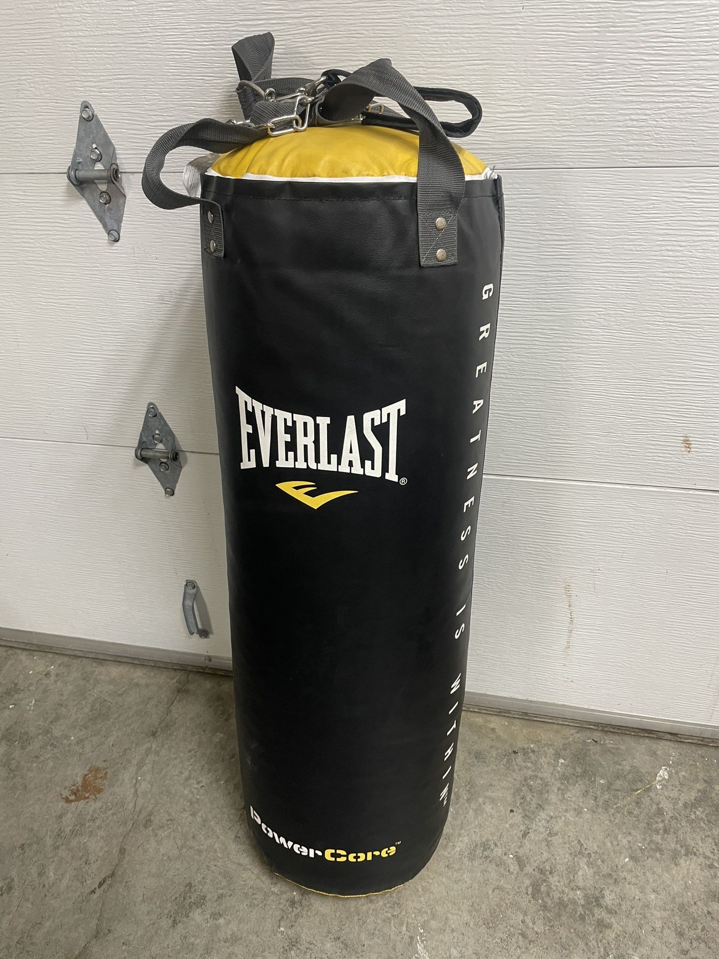 Everlast Punching Bag