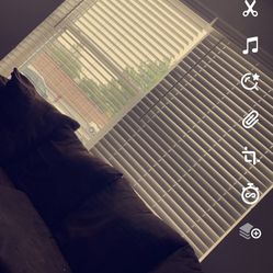 Sectional Brown Couch