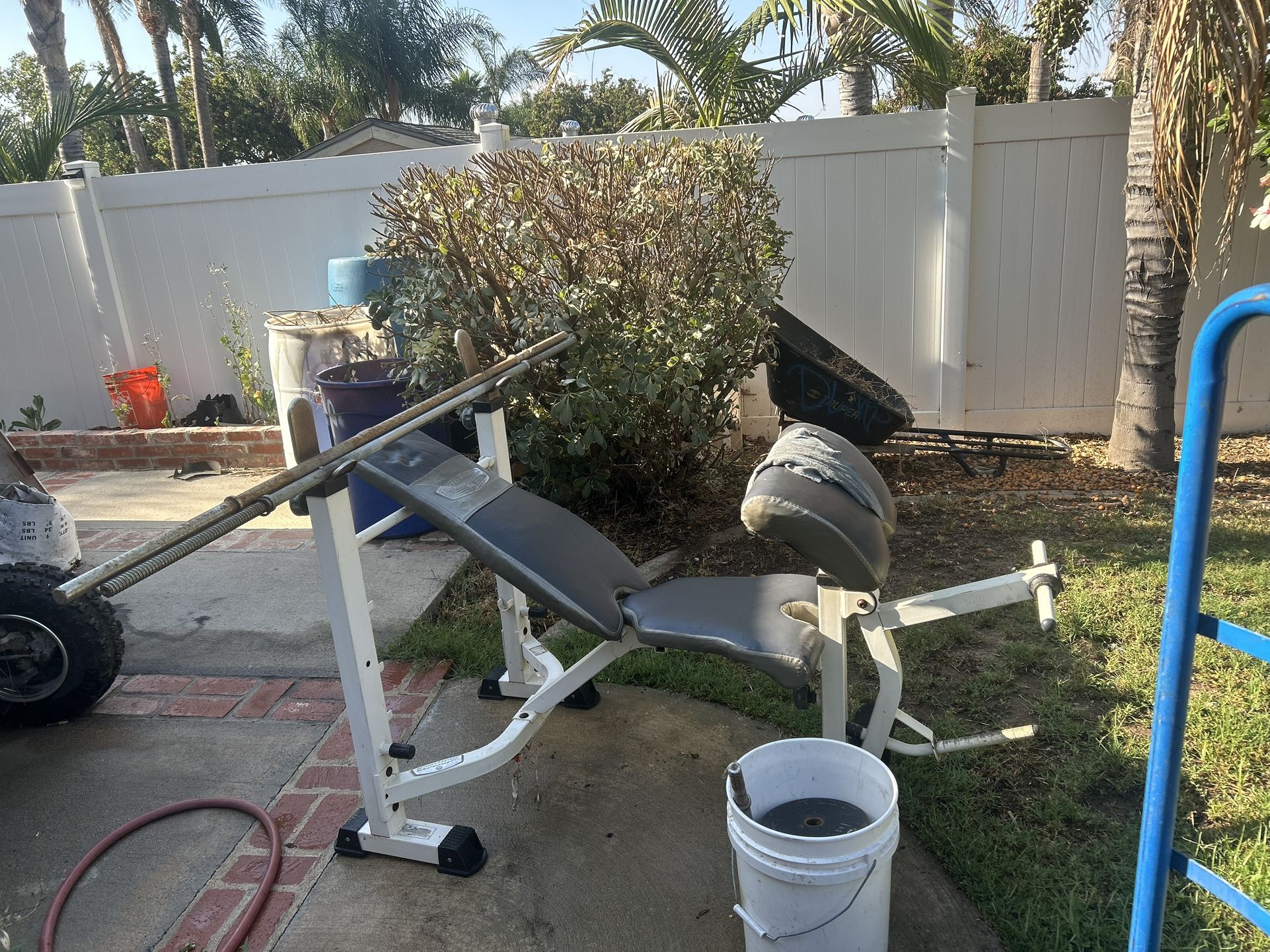 Weights