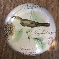 Glass Art Botanical Bird Nightingale Paperweight 