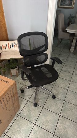 Ergonomic Office Chair