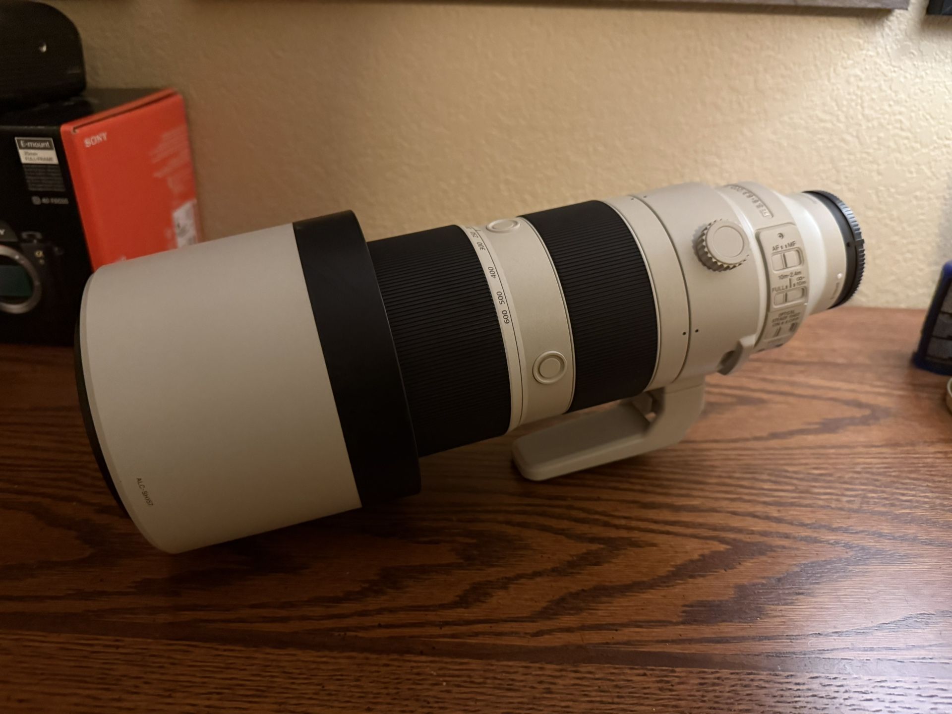 Sony FE 200-600 Lens