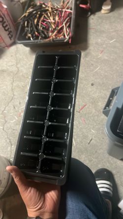 Ice cubes