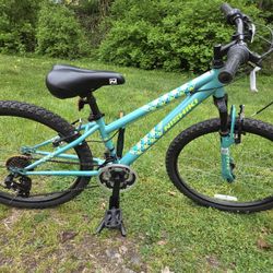 Nishiki Pueblo 24 inch Youth Bike