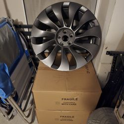 Original Tesla Rims