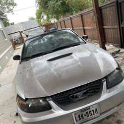 2001 Ford Mustang