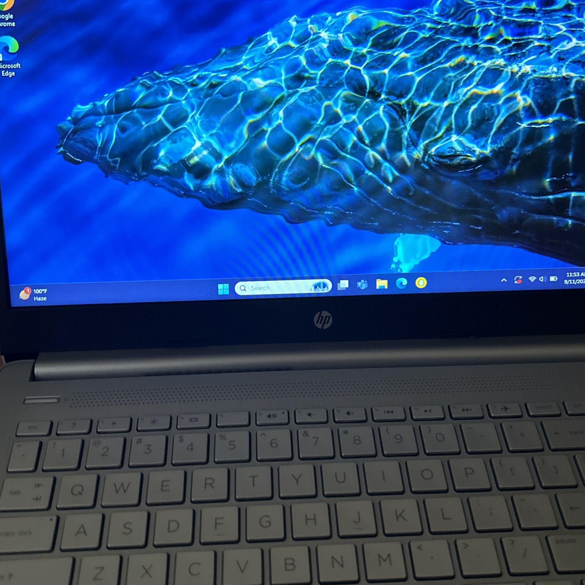Hp Laptop Touchscreen