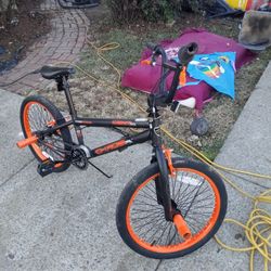 20 In. Kent Freestyle Bike.  Chaos FS