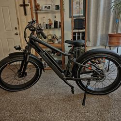 Ebike Radrover 6 Plus