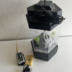 Hexagon Betta Fish Aquarium Kit