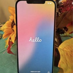 Unlocked iPhone 12 Pro Max