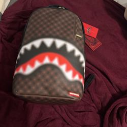 Spray Ground Backpack