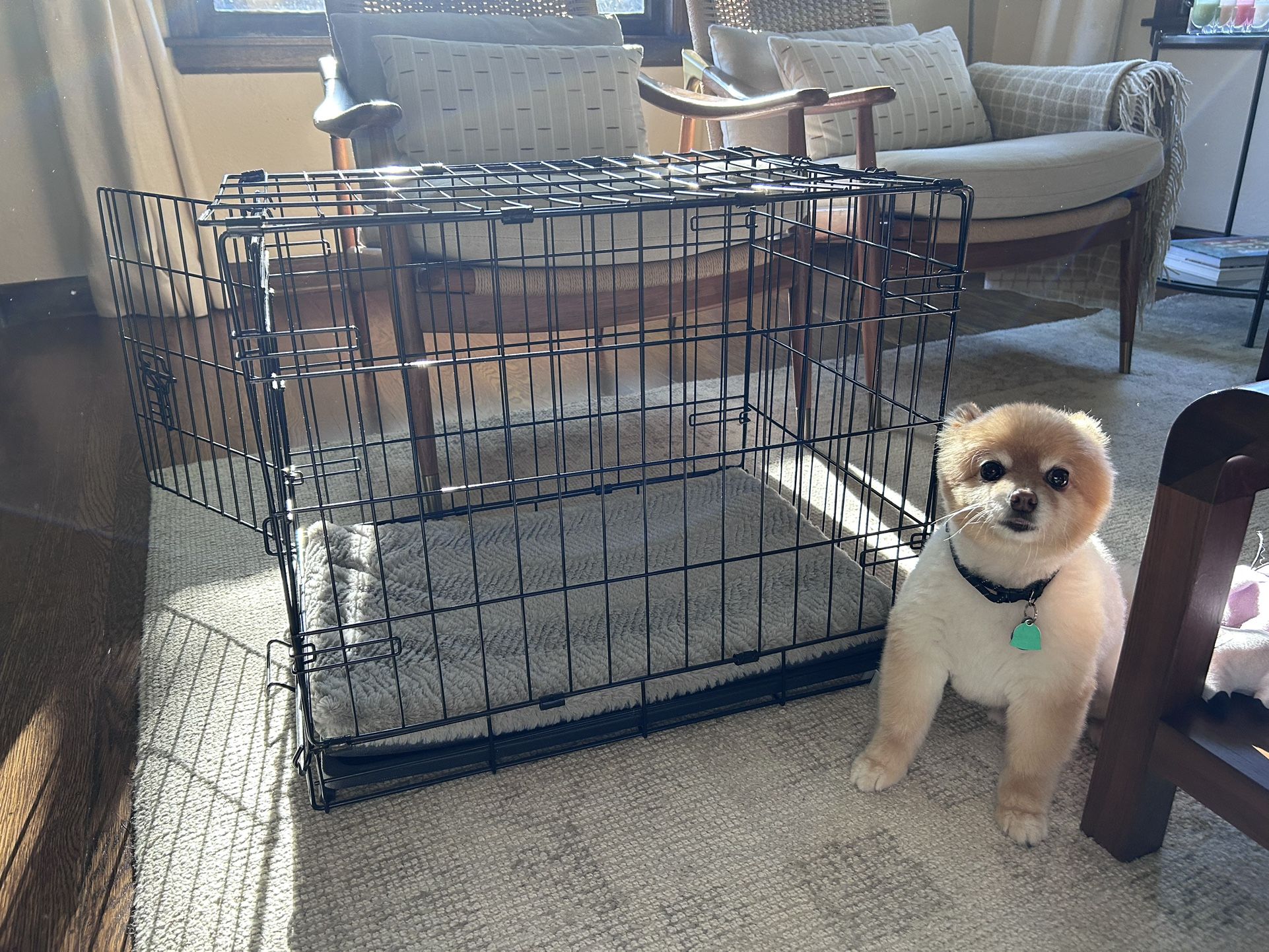 NEW: Dog Crate For Small Dog