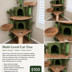 Multilevel Cat Tree