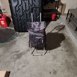 Wheeling Tote