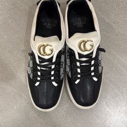 Royal Shoes Low Tops