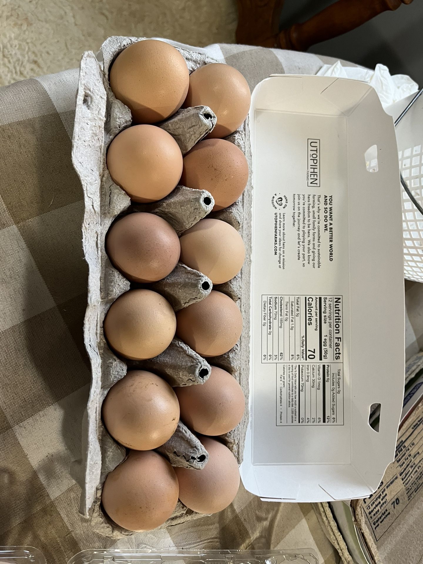 Fresh Farm Eggs Pasture Raised 