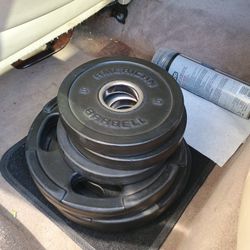 Weight Plates 115 Pounds 