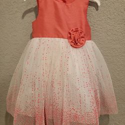 GIRLS DRESS SIZE 2T