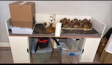 Small animal cage/enclosure