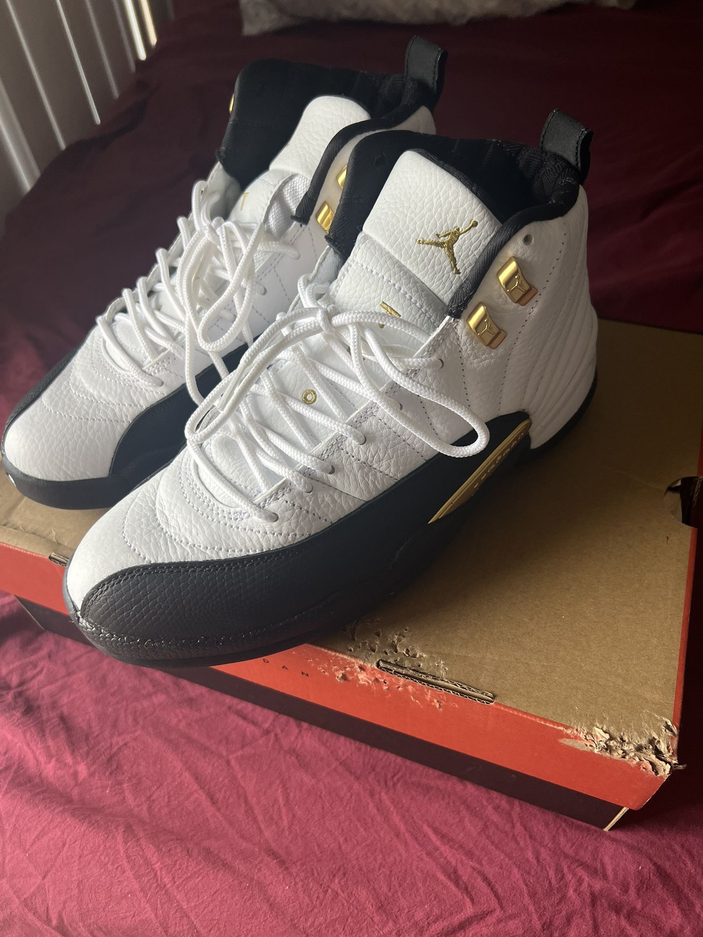 Air Jordan 12