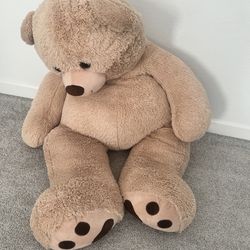 Extra Large Teddy Bear